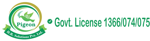 Pigeon HR solutions